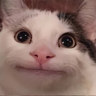 FaintSmile