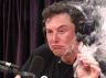 elon musk with weeds