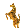 Sbr-Madan