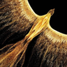 Phoenix Legend