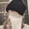 Chboy_ZH