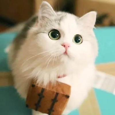 今日宜休息