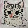 CatPlayCoin