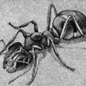 Huan0925