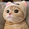 Miya0928