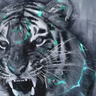 godoffortune