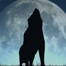 MoonRaiser