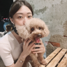 宮美村掐