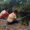 Daun-Gumbili