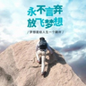 稳定盈利