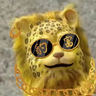金龙豹富