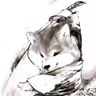 犬币君