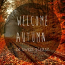 autumn8838