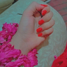 Bee_1214