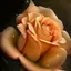 Zhoanchohan