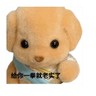 币coin黑白
