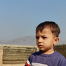shayan_rauf