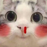 马户