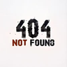404达人