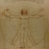 LEONARDO618