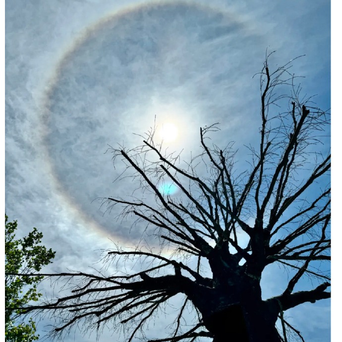 Sun-w