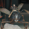 Ant_man_