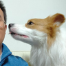 黄百万2016