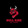 BULLRISE