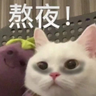 赚钱之王