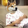 躺赢狗社区