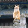 Mr_Liao
