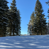 StriderBTC