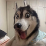 汪