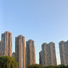一招鲜