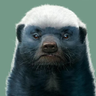 VladimirMagrin