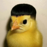 認真賺錢
