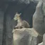 北极讲行情
