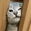 小小咪