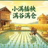 小满插秧