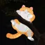 攻打币圈的狐狸