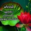 Michaelhtoo