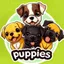 马斯克小狗puppies