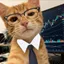 Thecatlikestrading