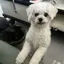 静默
