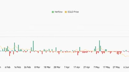 MultiversX Price Prediction: EGLD Surges 55% in a Week Ahead of September 10 Supernova Launch