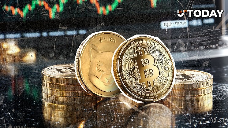 Only One Can Win? Shiba Inu (SHIB) and Bitcoin Set up Rare February Face-Off image 1