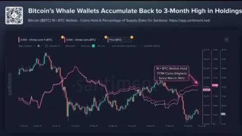 Các tay chơi lớn nhất của Bitcoin đang có động thái bất thường, báo hiệu biến động lớn sắp tới?
