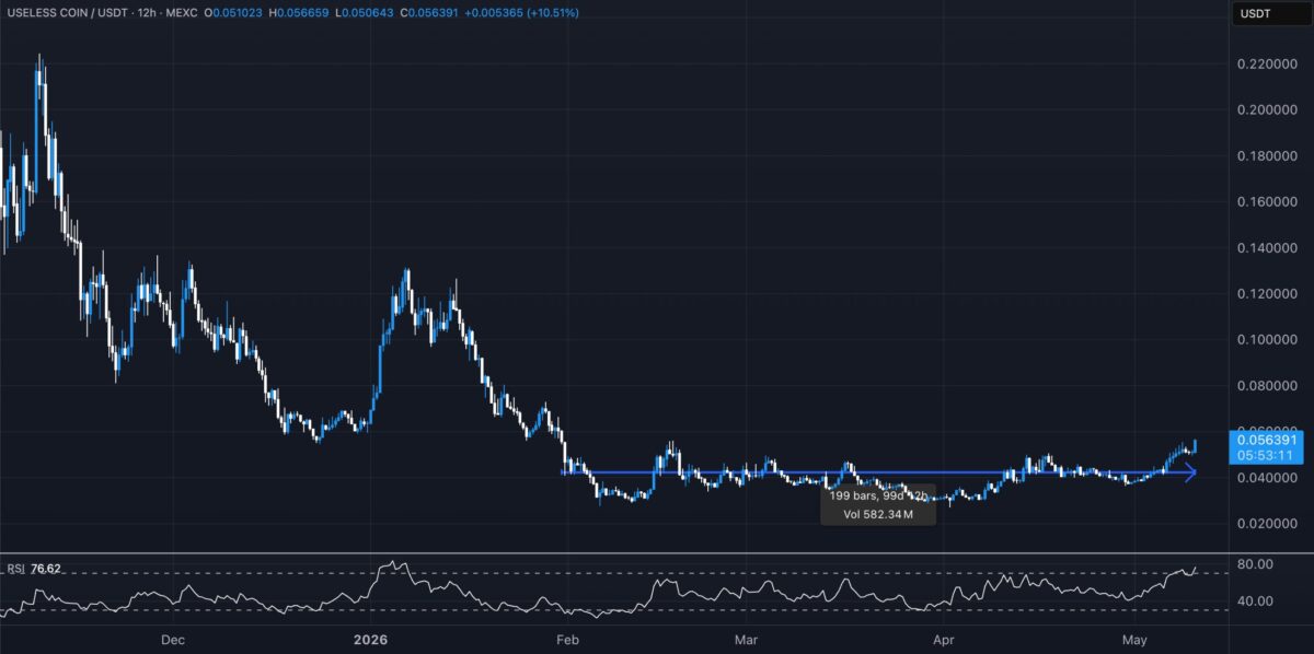 Small cap, big gains – Decoding the FOMO behind USELESS’s recent 70% surge image 2