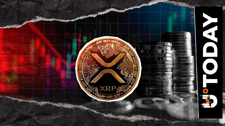 Did XRP Top Out? On-Chain Euphoria Might End Here image 1