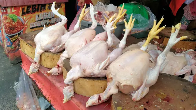 Harga Daging Sapi Hari Ini Masih Betah di Rp 150 Ribu image 1